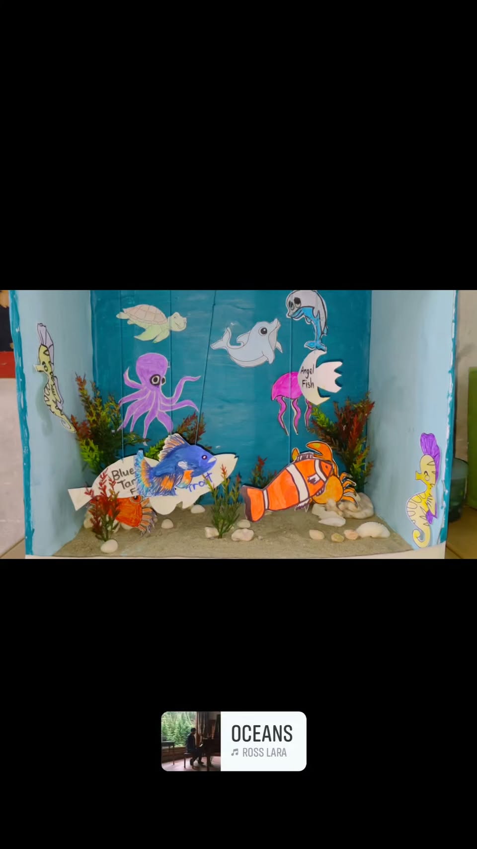Year 2 recycled aquarium science project video